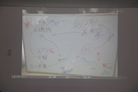 WS発表11