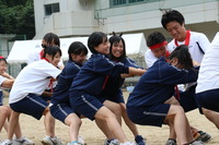 綱引き