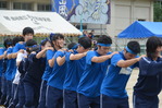 百足7