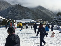 保育実習1