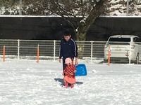 保育実習5
