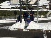 保育実習9