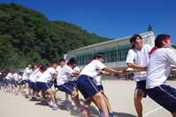 綱引き4