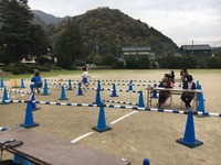 ｺﾞｰﾙｲﾝ2