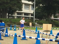 ｺﾞｰﾙｲﾝ3