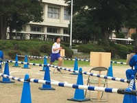 ｺﾞｰﾙｲﾝ4