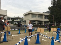 ｺﾞｰﾙｲﾝ5