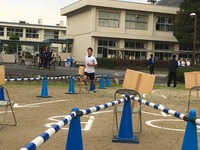 ｺﾞｰﾙｲﾝ8