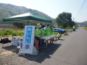 夢花