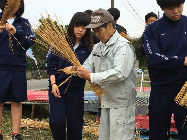 稲の縛り方