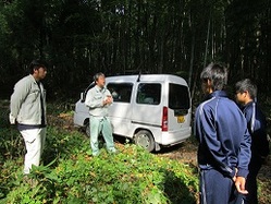 yasei5