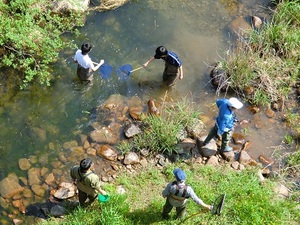 kawa2