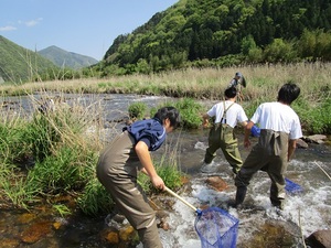 kawa3
