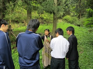masunarisan1