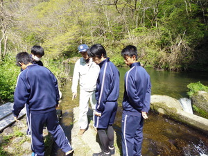 魚道調査2