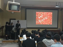 トマト